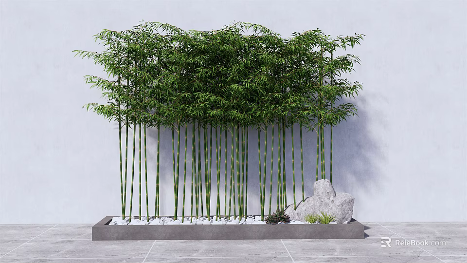 Tall Green Bamboo in Rectangular Container with White Pebbles and Decorative Stone Against White Wall 3d model