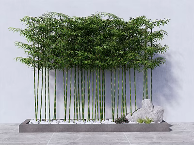 Tall Green Bamboo in Rectangular Container with White Pebbles and Decorative Stone Against White Wall 3d model
