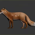 Red Fox with Orange Fur and White Chest Standing on Smooth Surface 3d model