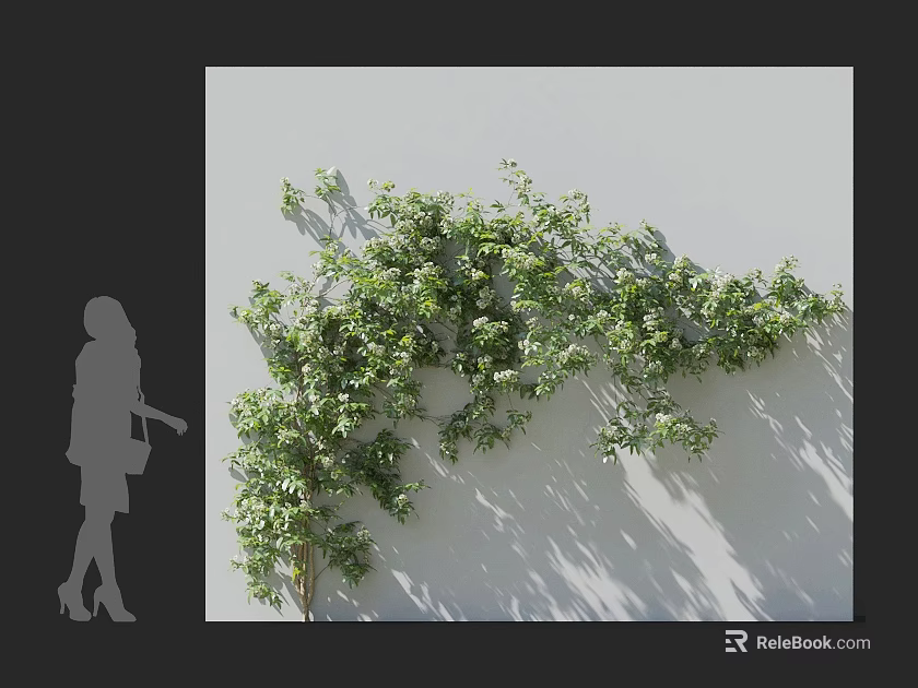 Lush Green Vines Growing On White Wall With Shadow And Silhouette Figure 3d model 