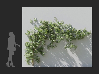 Wooden flower shrub hedge vine climbing wall plant flower ivy creeper wall plant 3d model