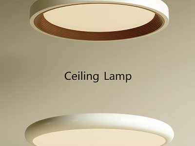 Modern Round Ceiling Lamp With White And Brown Design For Home Lighting 3d model