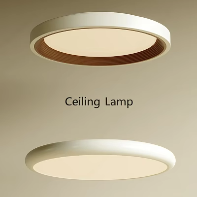 Modern Round Ceiling Lamp With White And Brown Design For Home Lighting 3d model