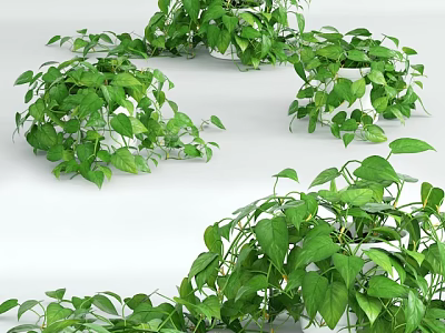 Potted Plants With Lush Green Leaves And Hanging Vines For Indoor Decoration 3d model