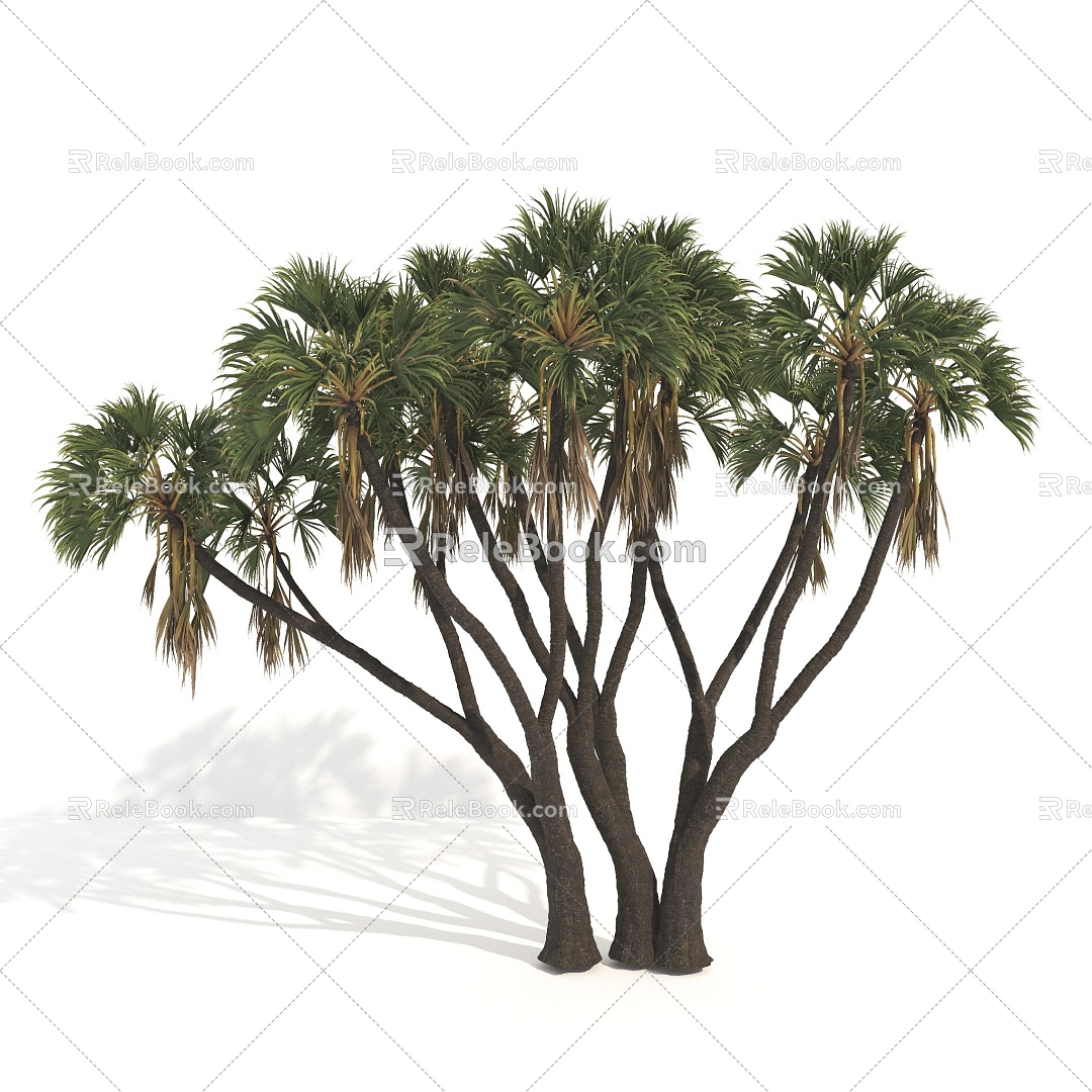 Plants Trees Big Trees Arbor 3d model