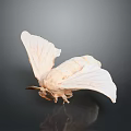 White Moth With Spread Wings And Detailed Texture On Dark Background 3d model