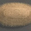 Light Brown Fuzzy Oval Shaped Grass Cluster On Gray Background Surface 3d model