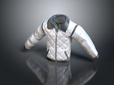 White Quilted Casual Jacket With Dark Collar And Zipper For Daily Wear 3d model