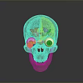 Transparent Skull Anatomical Model For Medical Training And Eye Surgery Simulation