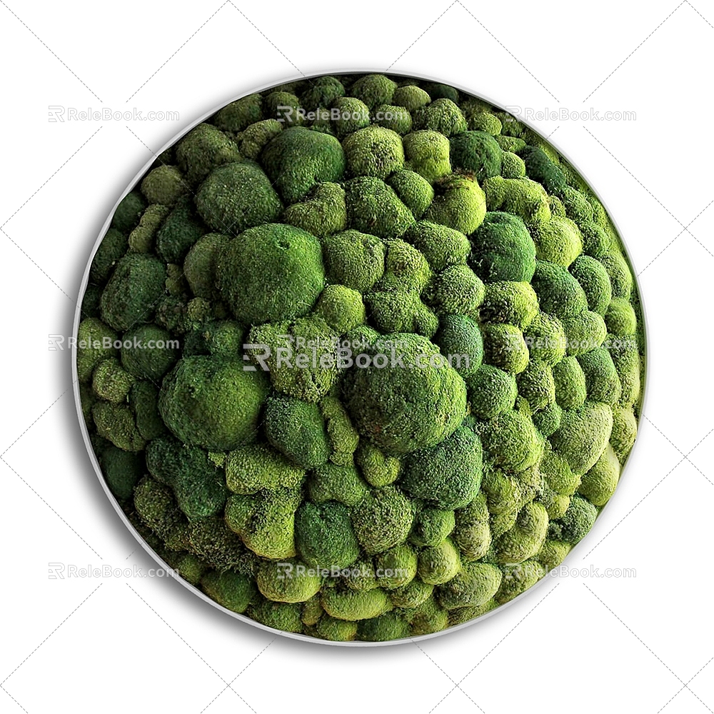 Moss Wall Decorations Green Plant Wall Decorations Round Plant Wall Decorations 3d model