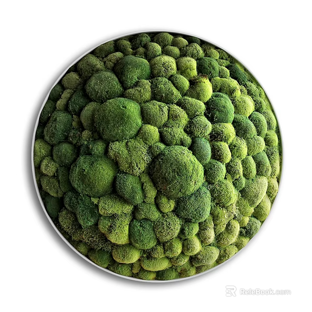 Circular Green Moss Wall Decor With Natural Textured Indoor Modern Design 3d model 