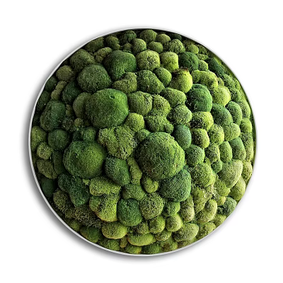 Circular Green Moss Wall Decor With Natural Textured Indoor Modern Design 3d model Circular Green Moss Wall Decor With Natural Textured Indoor Modern Design 3d model