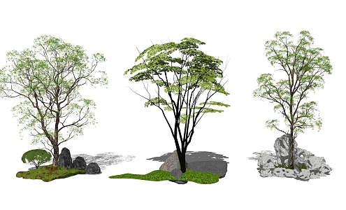 modern tree arbor landscape tree 3d model