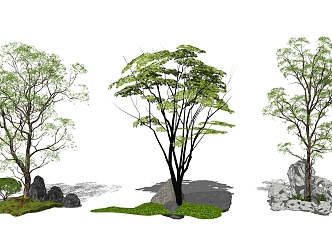 modern tree arbor landscape tree 3d model