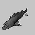 Brown Fish With Large Eyes And Colorful Rubik's Cube On Gray Background