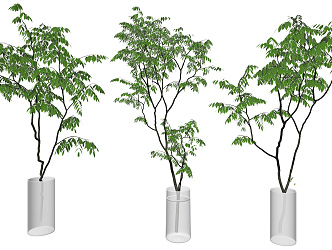 Modern vase green plant vase potted hydroponic plant ornaments 3d model