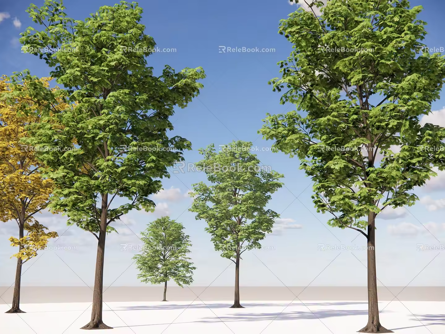 Modern landscape tree dwarf tree red leaf tree deciduous tree roadside tree street tree community greening broad-leaved tree 3d model