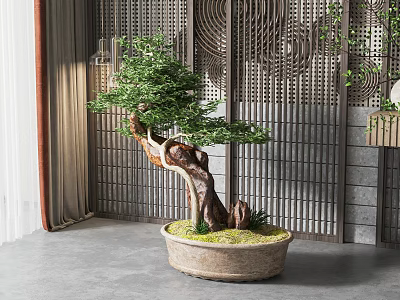 Artistic Bonsai Plant In Ceramic Pot With Lush Green Leaves And Moss For Modern Decor 3d model