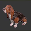 Basset Hound Dog With Orange Brown And Black Coat Sitting On Dark Background