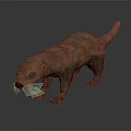 Orange Red Otter 3D Model Standing On Gray Smooth Background