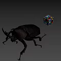 Large Brown Beetle And Multicolored Rubik's Cube On Gray Background