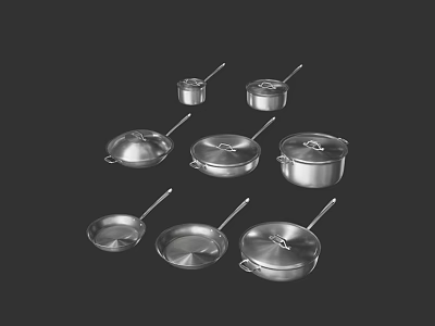 Stainless Steel Cookware Set with Different Sizes and Types Including Pans and Lidded Pots 3d model