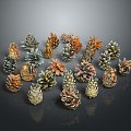 Pine cone plant game item 3d model