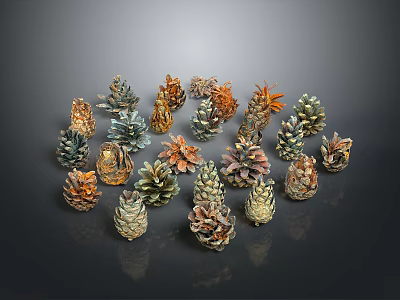 Colorful Various Shaped Pine Cones As Decorative Household Items Arranged In Circle 3d model