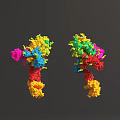 Tissue System Scientific Study With Colorful Dual Molecular Structures And