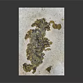White Paper With Yellow Green Spots And Textured Pattern On Dark Background