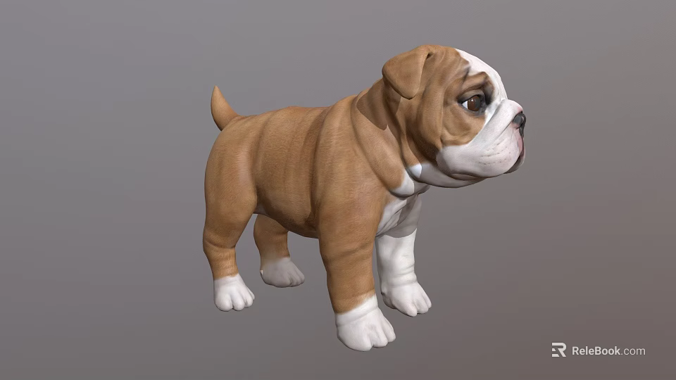 Realistic Brown And White Bulldog Puppy 3D Model With Standing Pose 3d model 