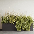 plant flower box plant combination plant pile plant potted plant outdoor plant 3d model