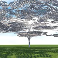 Tree Inspired Pergola With Intricate Lattice Design Under Blue Sky Over Green Lawn Sunlight Shadows