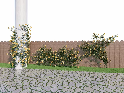 Yellow Flowers and Vines on White Pillar Along Fence with Stone Pavement and Lawn 3d model
