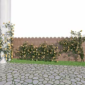 Yellow Flowers and Vines on White Pillar Along Fence with Stone Pavement and Lawn
