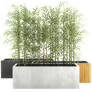 Modern bamboo 3d model