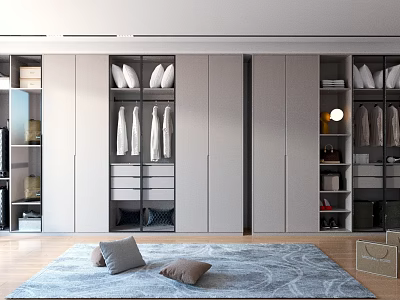 Modern Walk in Closet Interior with Hanging Clothes Folded Items Rug and Pillows 3d model