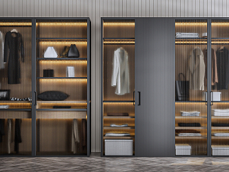 Modern wardrobe 3d model