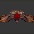 Red and Blue Eagle Spreading Wings Against Gray Background With Reflection