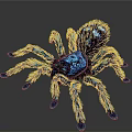 Vibrant Blue Hairy Spider With Shiny Body And Legs On Dark Background