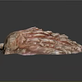 Pink and White Shellfish with Bumpy Protruding Surface and Irregular Shape on Dark Background