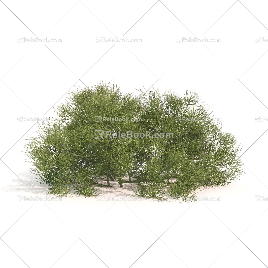 plant green plant shrub ball flowers flowers 3d model