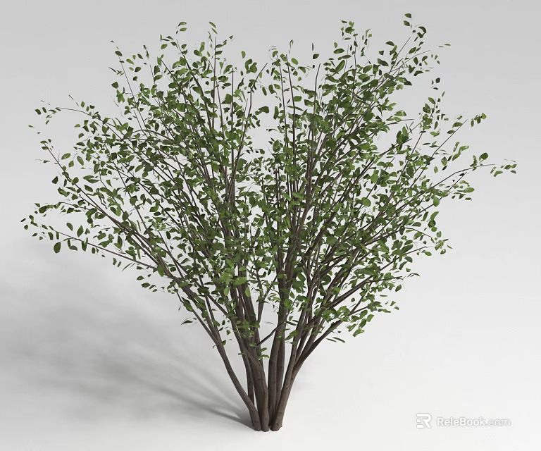 Lush Shrub With Green Leaves And Multiple Branches In Natural Form 3d model 
