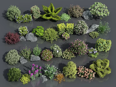 Collection of Various Garden Plants with Colorful Blooms Green Foliage and Decorative Stones 3d model