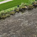 Waterfront Landscape With Clear Stone Bottom Water Lush Green Grass And Shore Plants
