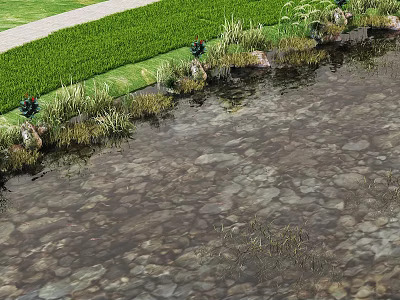 Waterfront Landscape With Clear Stone Bottom Water Lush Green Grass And Shore Plants 3d model