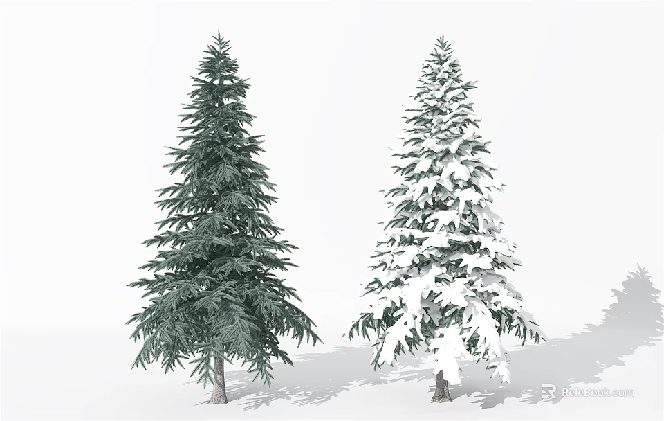 Two Evergreen Trees One Green and One Snow Covered Standing in White Background 3d model 