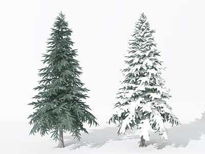 Two Evergreen Trees One Green and One Snow Covered Standing in White Background 3d model