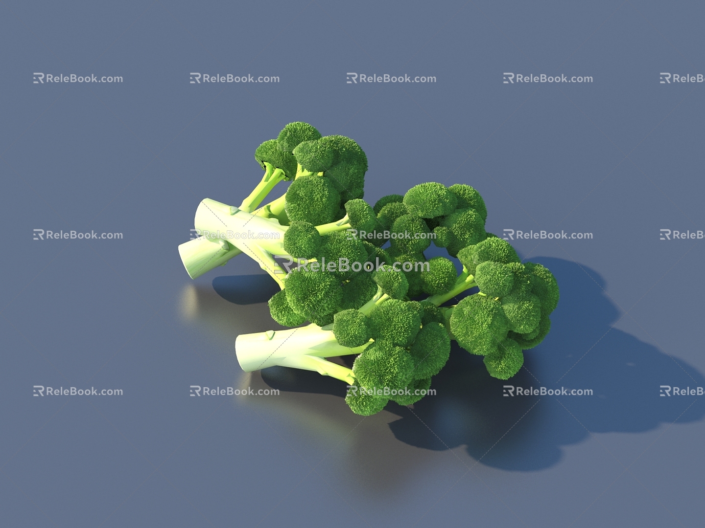 side dish vegetables coriander food model