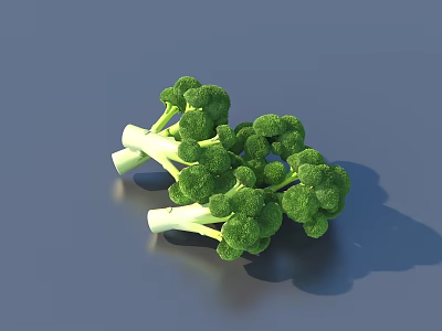 Fresh Green Broccoli Featuring Crisp Stems And Tender Florets On Gray Surface 3d model Fresh Green Broccoli Featuring Crisp Stems And Tender Florets On Gray Surface 3d model